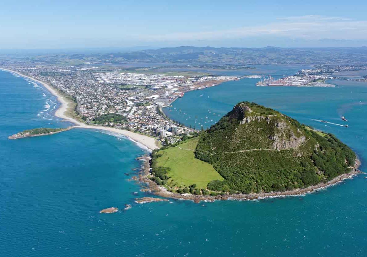 tauranga-4